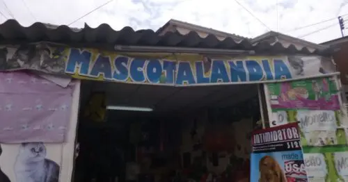 MASCOTILANDIA CALLE 6B 79A 70 MASCOTILANDIA CALLE 6B 79A 70